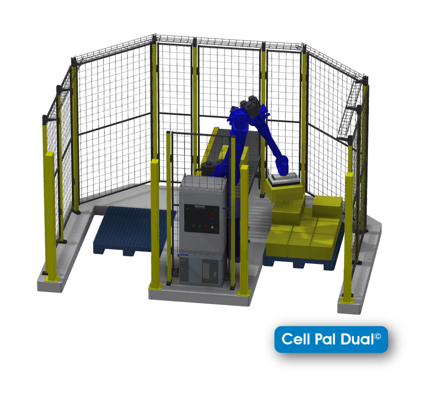 CellPad dual site